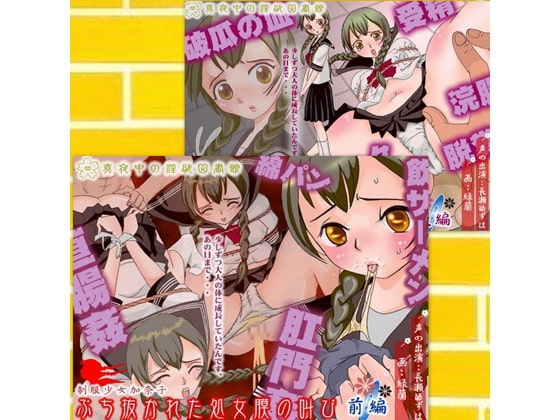 【真夜中の淫欲図書館総集編(5)】ウブなセーラー服娘に大人の性欲を教え、赤ちゃんを身ごもらす世界! の表紙