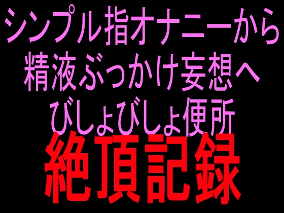 シンプル指オナニーから精液ぶっかけ妄想へ びしょびしょ便所絶頂記録 の表紙