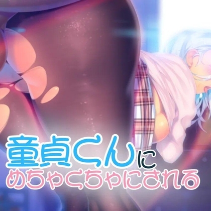 童貞君にめちゃくちゃにされる の表紙