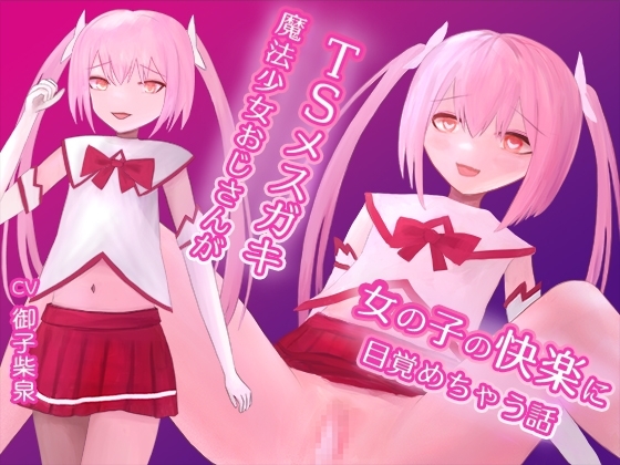 TSメ○ガキ魔法少女おじさんが女の子の快楽に目覚めちゃう話 の表紙