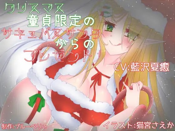 クリスマス童貞限定のサキュバスサンタからのプレゼント の表紙