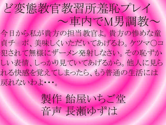 ど変態教官教習所羞恥プレイ～車内でM男調教～WAV版 の表紙