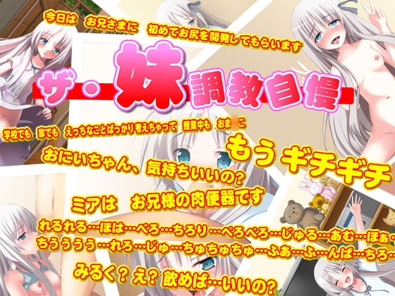 ザ・妹調教自慢!! の表紙