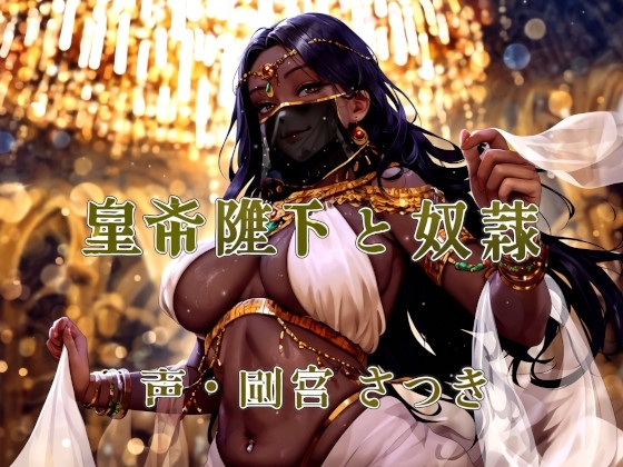 皇帝陛下と奴○ の表紙