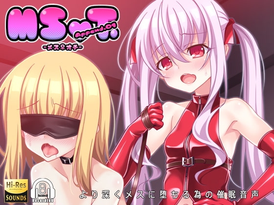 MSOT.Append.01 の表紙