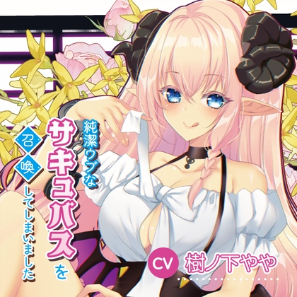 純潔ウブなサキュバスを召喚してしまいました の表紙