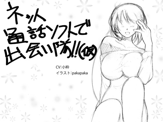 ネット通話ソフトで出会い隊! の表紙