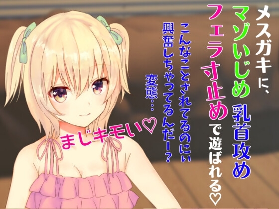 メ○ガキにマゾいじめ乳首攻めフェラ寸止めで遊ばれる☆最後はカウントダウンフェラでフィニッシュ☆ の表紙