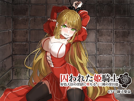 囚われた姫騎士〜好色大臣の淫獄に堕ちる/三種の淫具篇〜 の表紙
