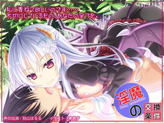 淫魔の交換条件 の表紙