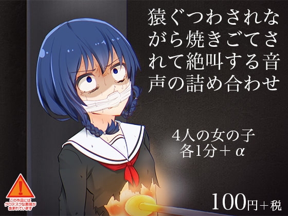 猿ぐつわされながら焼きごてされて絶叫する音声の詰め合わせ の表紙