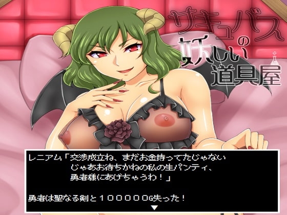 サキュバスの妖しい道具屋 の表紙