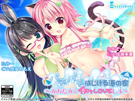 パチパチはじける海の家～みあたみとイチャLOVEしよ～ の表紙
