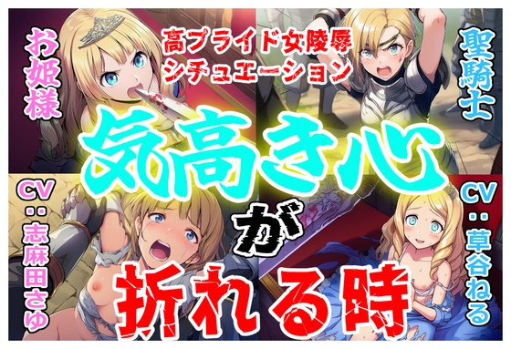 気高き心が折れる時 の表紙
