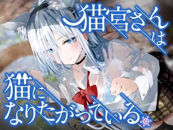 猫宮さんは猫になりたがっている。 の表紙