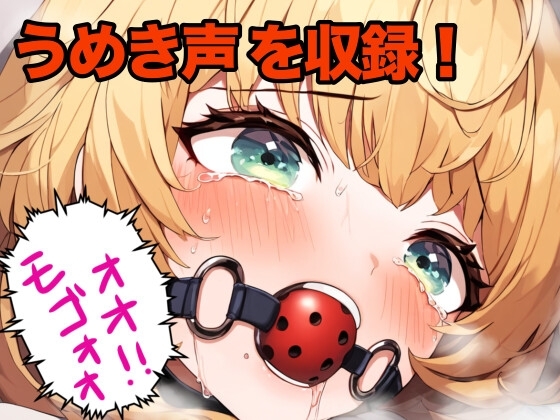 幼馴染の女の子にボールギャグを噛ませてモゴモゴ喋らせる の表紙